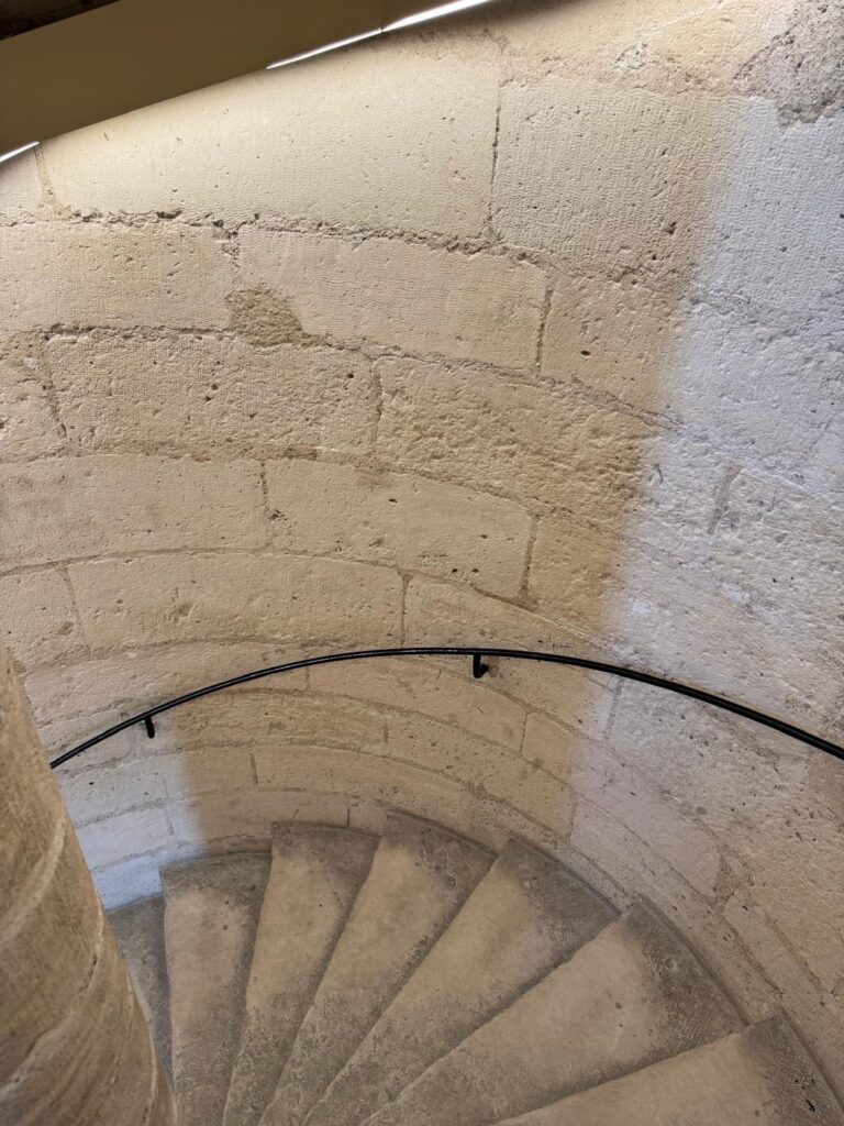 Cathédrale Notre Dame de Paris