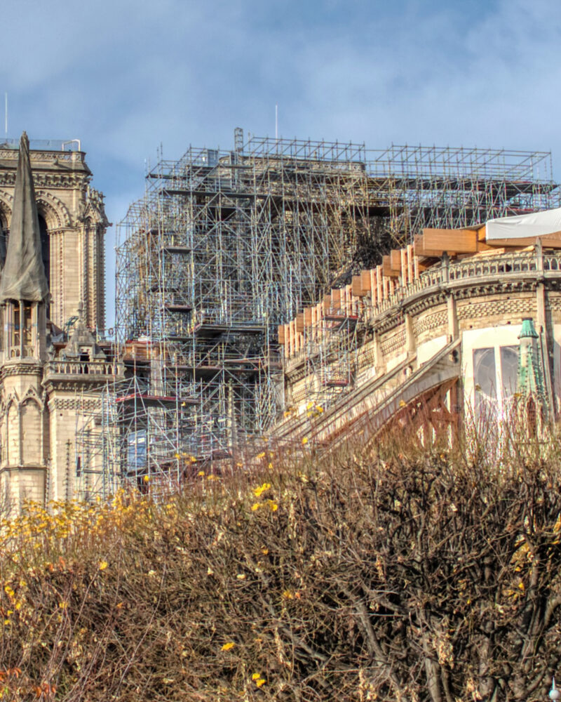 Cathédrale Notre Dame de Paris